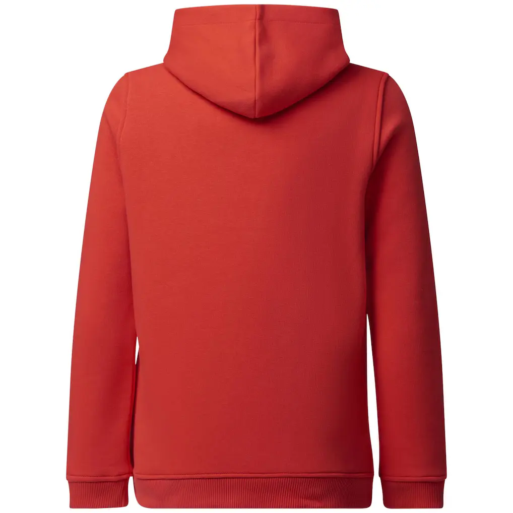 Oracle Red Bull Racing F1 Hoodie Red